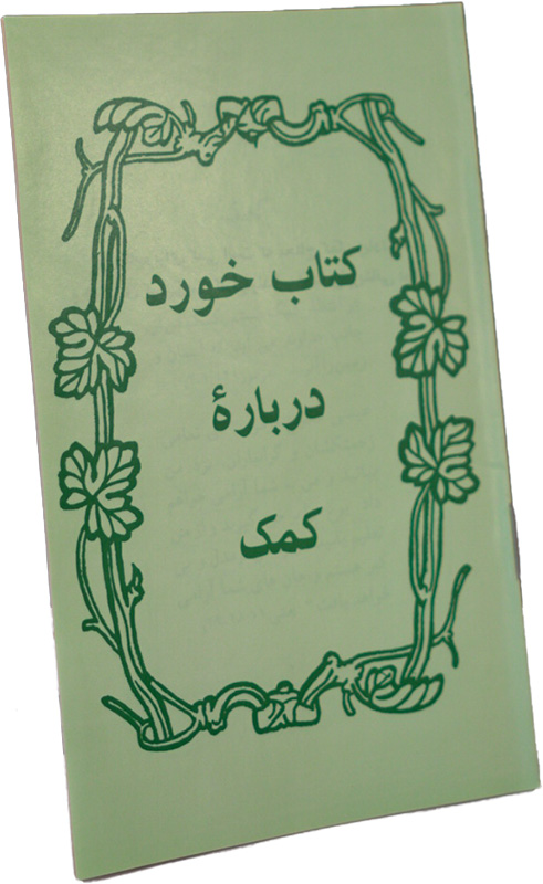 Little Book of Help