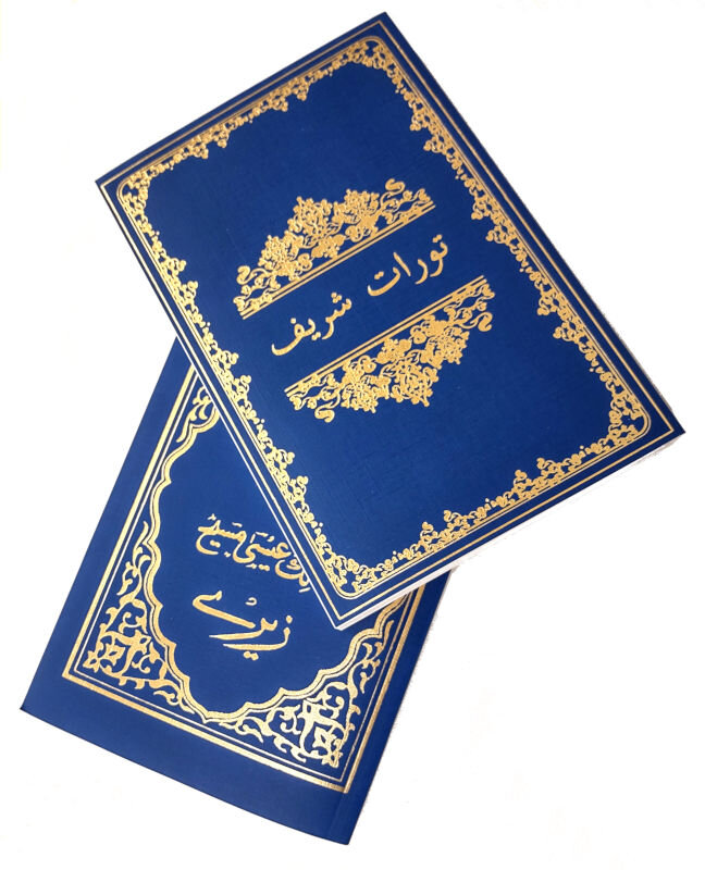 تورت او پښتو نوې کلام - پی این ټي (جیب)