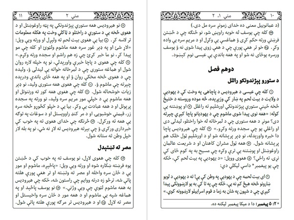 Afghan Pashto New Testament - NEW!
