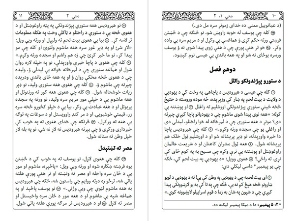 افغان پښتو نوی عهد