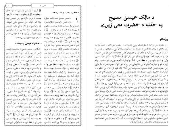 YousafZai Pashto New Testament - Pakistani Dialect